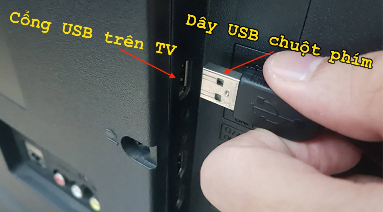 Cắm dây chuột và phím vào cổng USB trên TV