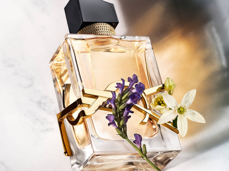 TOP 15 Nước Hoa Nữ Thơm Lâu, Quyến Rũ Giá Tốt Ưa Chuộng 2024