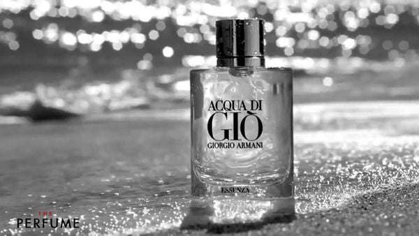 Cách bảo quản nước hoa Giorgio Armani giữ được mùi hương lâu, bền
