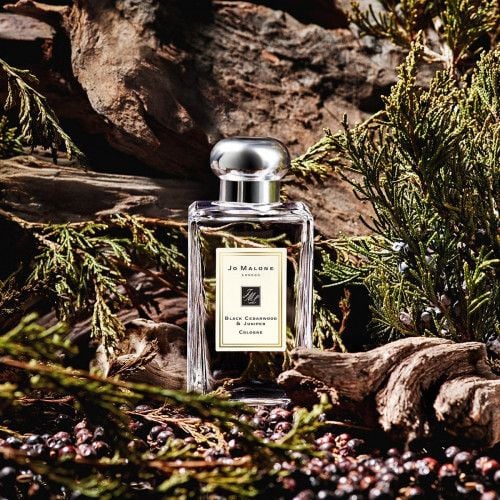 Nước hoa mùi gỗ Jo Malone Black Cedarwood & Juniper Cologne thích hợp để sử dụng hàng ngày