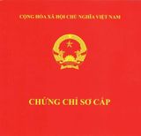 Chứng chỉ hành nghề phun xăm là gì? Và 3 điều bạn cần phải nắm rõ khi hành nghề phun xăm