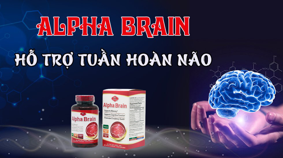 Alpha Brain có tốt không, giá bao nhiêu, mua ở đâu?