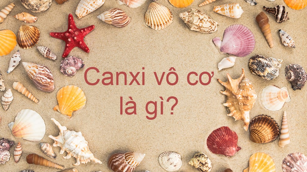 Canxi vô cơ là gì? Canxi vô cơ và canxi hữu cơ loại nào tốt hơn?