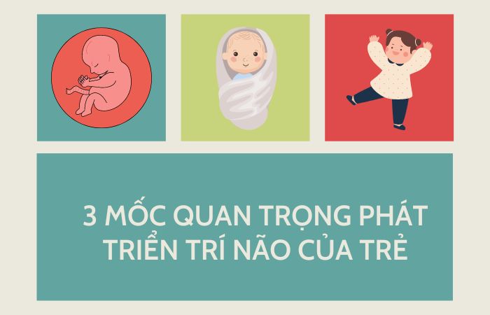 3 mốc quan trọng phát triển trí não của trẻ