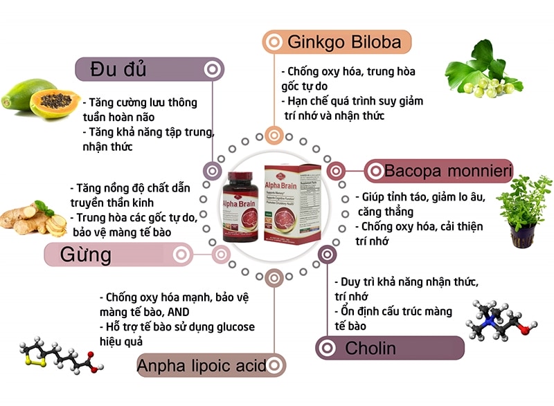 Alpha Brain là sự kết hợp giữa các thảo dược tự nhiên