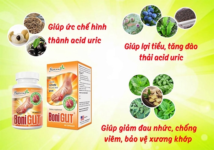 Review Bonigut Có Tốt Không, Mua Ở Đâu, Giá Bao Nhiêu?