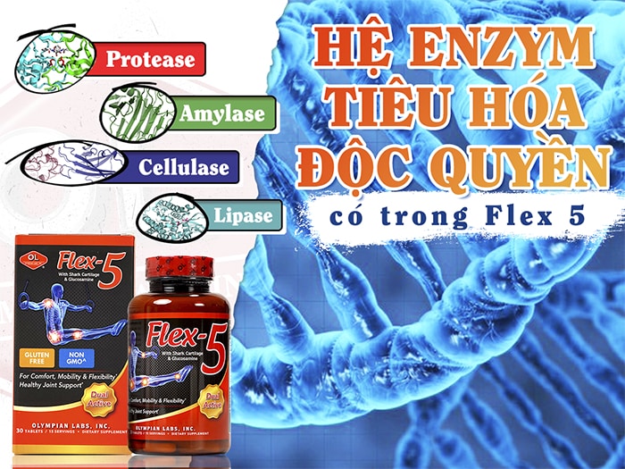 Flex-5 sở hữu tố hợp Enzym tiêu hóa độc quyền.