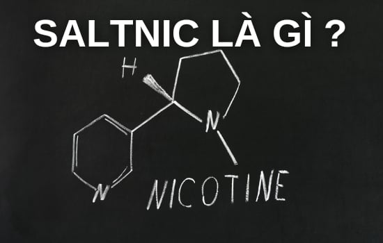 SALTNIC LÀ GÌ ?