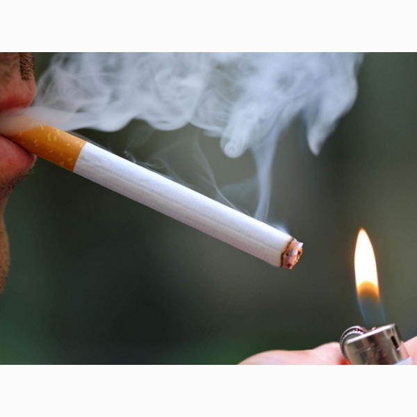 Hình ảnh sản phẩm