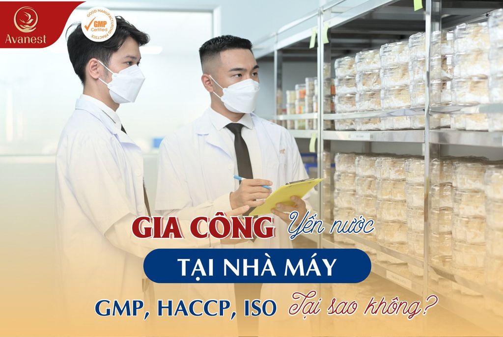 Gia Công yến nước tại nhà máy đạt chuẩn GMP, FDA, ISO, HACCP
