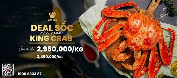 Mua King crab deal sốc - Giá chỉ còn 2,950,000 VND / kg
