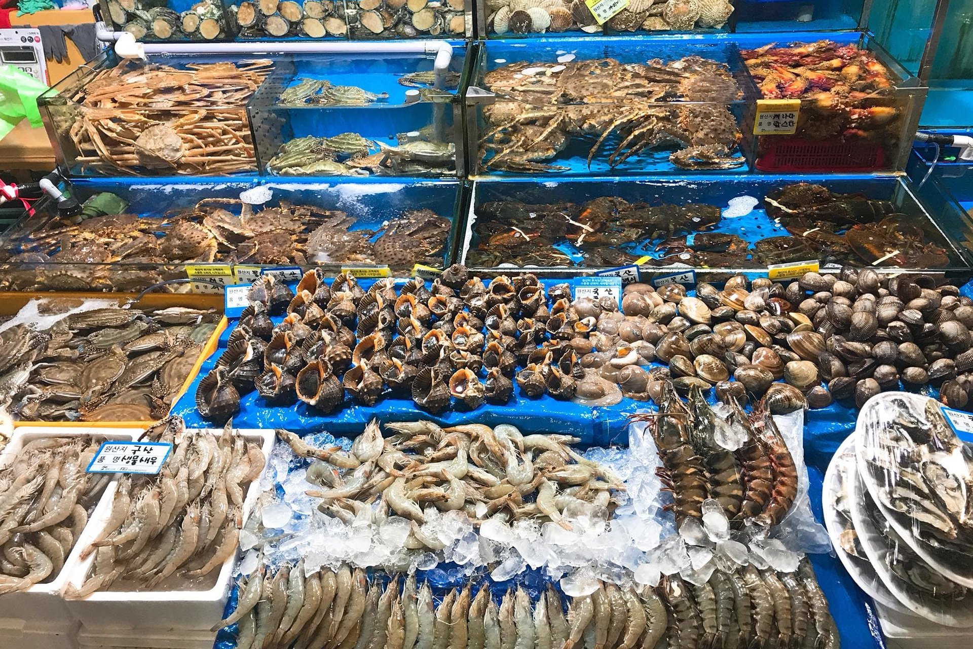 Gửi hoả tốc hải sản Đà Nẵng ra Hà Nội 2023