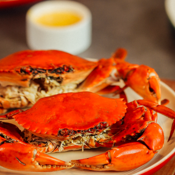 CUA SỐT ỚT SINGAPORE ĂN Ở ĐÂU TPHCM NGON ĐÚNG VỊ