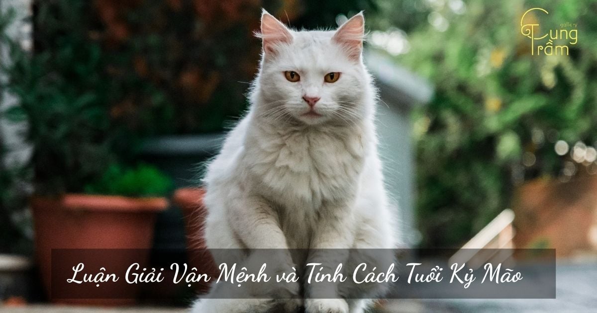 1999 Mệnh Gì Cung Gì? Luận Giải Vận Mệnh và Tính Cách Tuổi Kỷ Mão