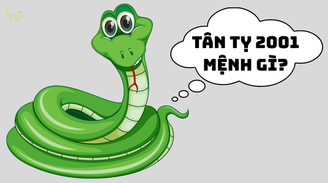 Sinh Năm 2001 Mệnh Gì? Bí Quyết Tăng Vận May Theo Phong Thủy