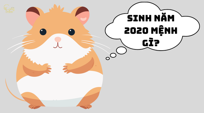 Sinh 2020 Mệnh Gì? Xem Tuổi Canh Tý Hợp Mệnh, Hợp Màu, Hợp Tuổi Nào?