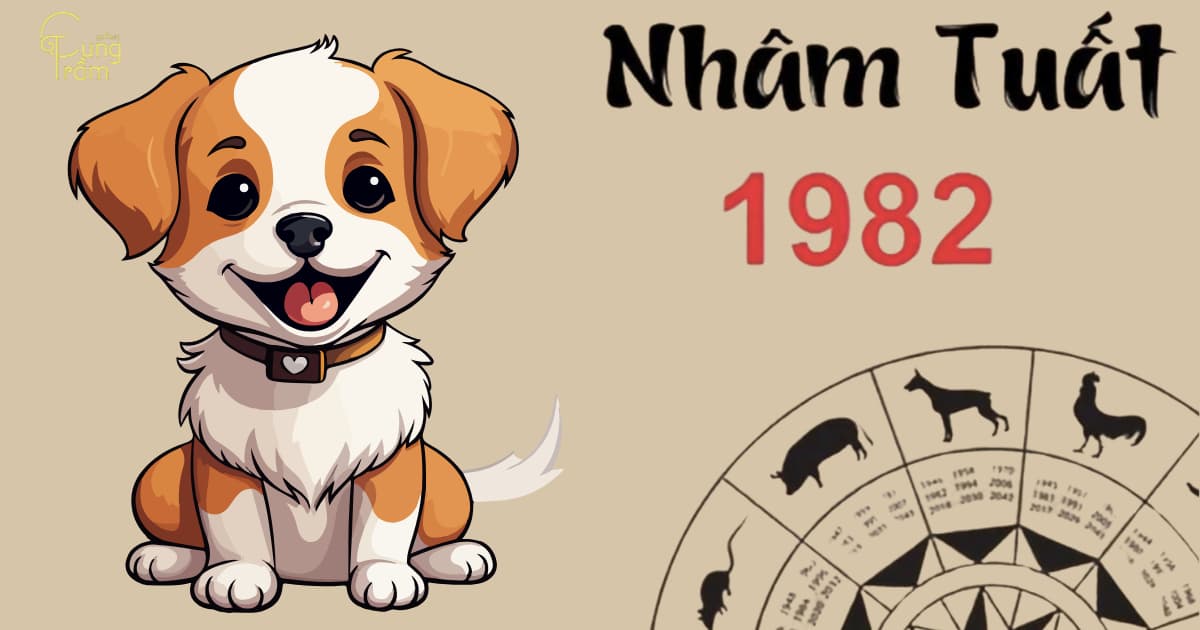 Sinh năm 1982 hợp màu gì? Tuổi Nhâm Tuất hợp với mệnh gì, cung gì?