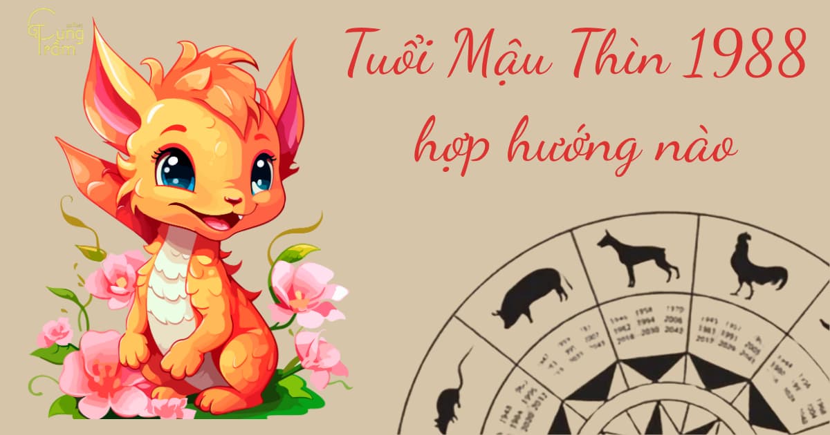 Tuổi Thìn 1988 hợp hướng nào? Xem mệnh, xem tuổi hợp làm ăn lâu dài