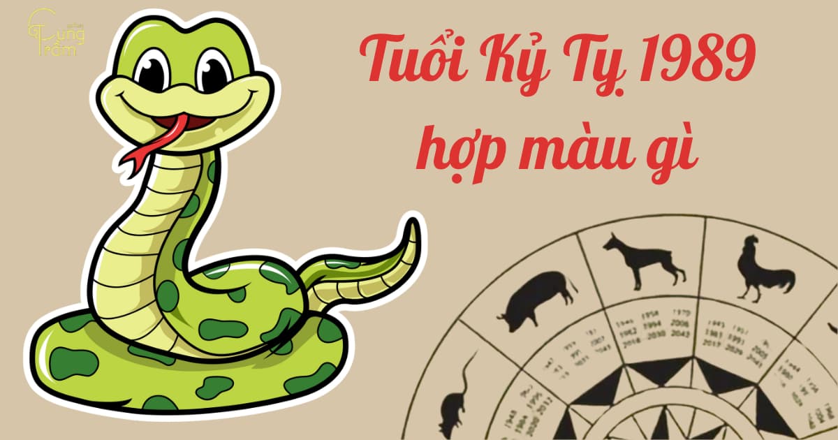 Tuổi Kỷ Tỵ hợp màu gì, mệnh gì? Bí kíp tài lộc cho người sinh năm 1989