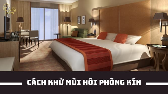 Tổng Hợp 25+ cách khử mùi hôi phòng kín, trong nhà nhanh chóng, cần thử ngay