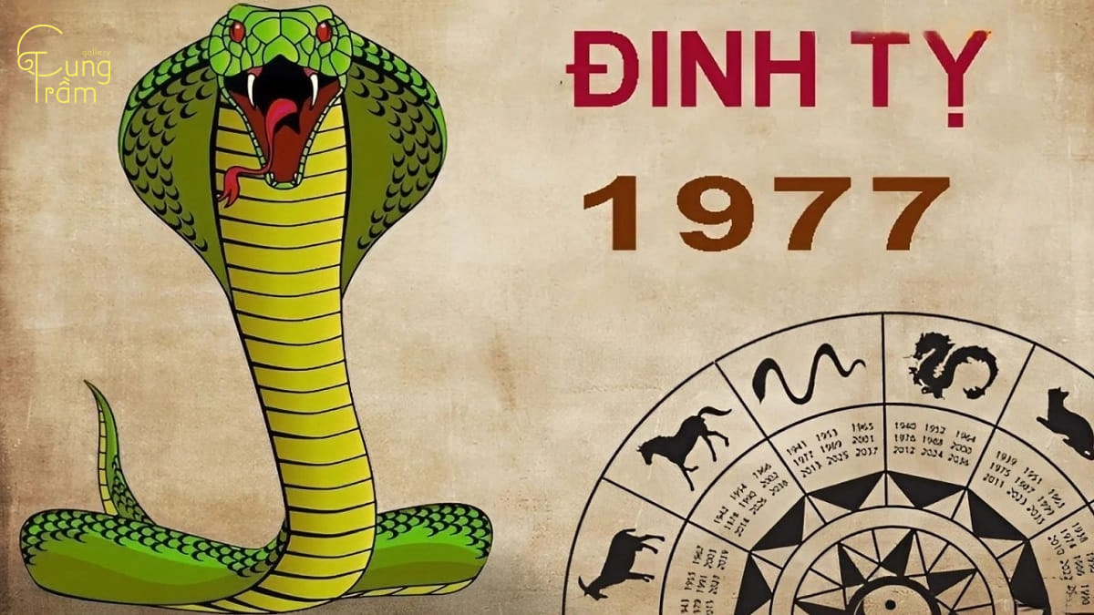 Sinh năm 1977 mệnh gì hợp màu gì để hút tài lộc, may mắn?