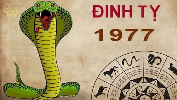 Sinh năm 1977 mệnh gì hợp màu gì để hút tài lộc, may mắn?