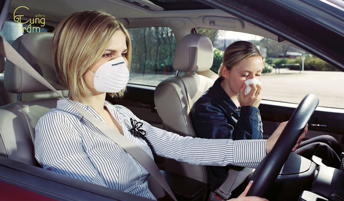 Nguyên nhân gây mùi ở ô tô do đâu? | 9 Cách khử mùi nhanh chóng