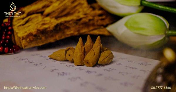 Nụ trầm hương là gì? Tác dụng, ý nghĩa & cách phân biệt thật giả