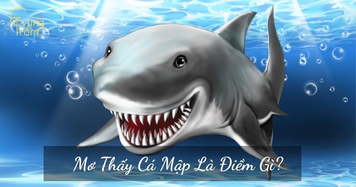 Mơ thấy Cá Mập là điềm gì? Giải mã những thông điệp & con số may mắn