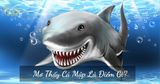 Mơ thấy Cá Mập là điềm gì? Giải mã những thông điệp & con số may mắn