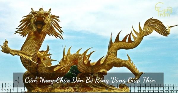 Năm 2024 Mệnh Gì Hợp Màu Gì? Cẩm Nang Chào Đón Bé Rồng Vàng Giáp Thìn
