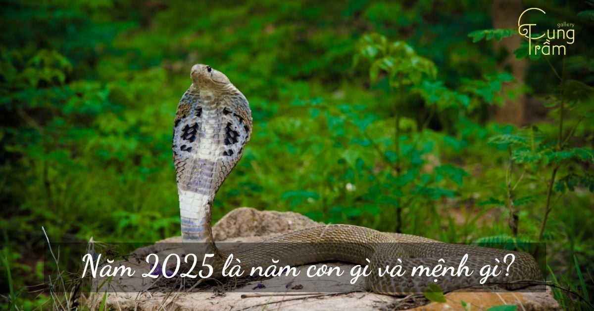 Năm 2025 là năm con gì và mệnh gì? Luận Giải Vận Mệnh Tuổi Ất Tỵ