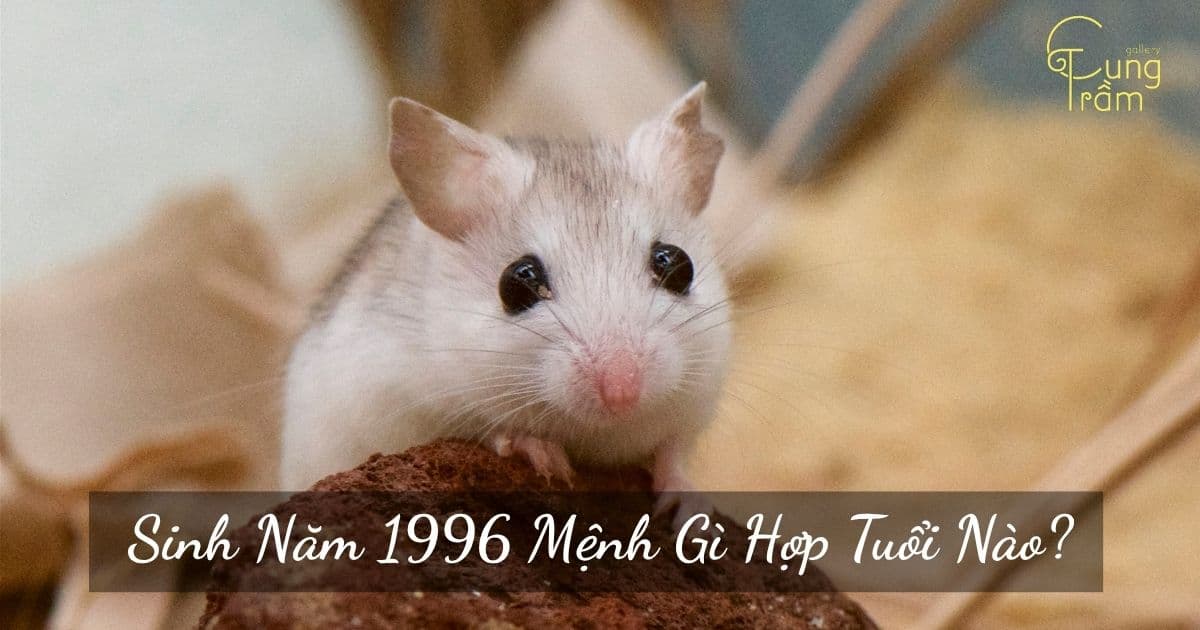 Sinh Năm 1996 Mệnh Gì Hợp Tuổi Nào? Giải Mã Toàn Tập Về Tuổi Bính Tý