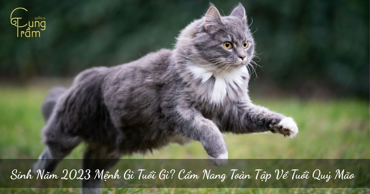 Sinh Năm 2023 Mệnh Gì Tuổi Gì? Cẩm Nang Toàn Tập Về Tuổi Quý Mão