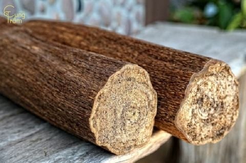 Trầm Hương Tốc Là Gì? Phân Loại, Cách Nhận Biết & Giá Bán