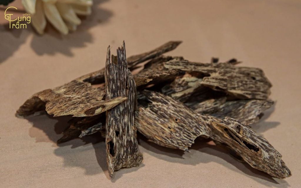 Trầm Tốc Kiến Là Gì? Cách Nhận Biết, Công Dụng Và Giá Bán Chuẩn Nhất