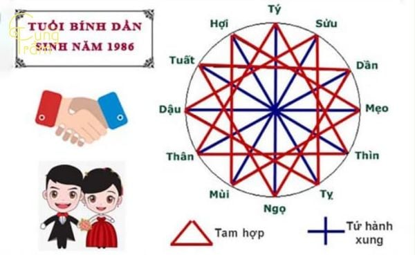 1986 hợp tuổi nào trong kinh doanh, hôn nhân?