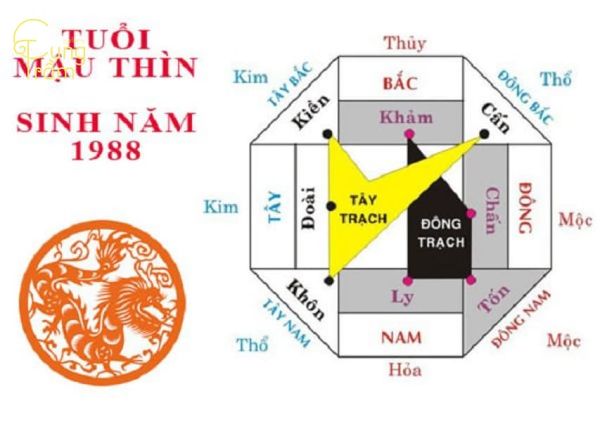 tuổi-thìn-1988-hợp-hướng-nào