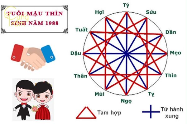 tuổi-thìn-1988-hợp-với-những-tuổi-nào