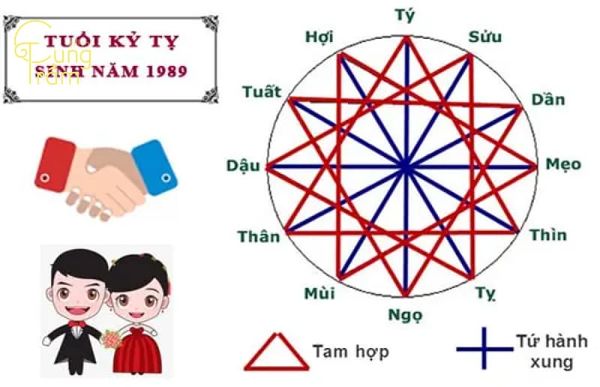 Tuổi-Kỷ-Tỵ-1989-hợp-và-kỵ-với-tuổi-nào