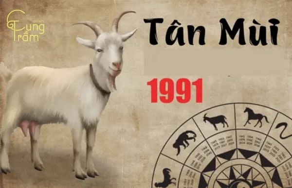 năm 1991 tuổi con gì