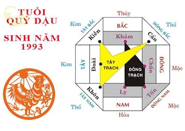 Cung mệnh của người sinh năm 1993