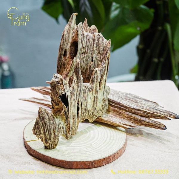 Tại sao nên đặt trầm hương miếng Phú Thọ “online” tại Cung Trầm Gallery