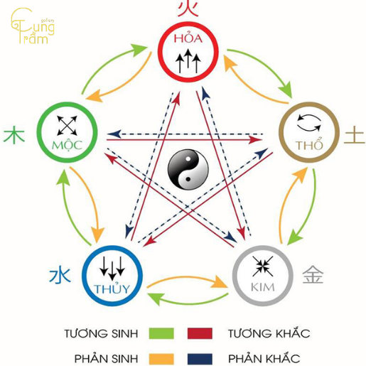Quan hệ tương sinh – tương khắc: Người mệnh Mộc nên biết