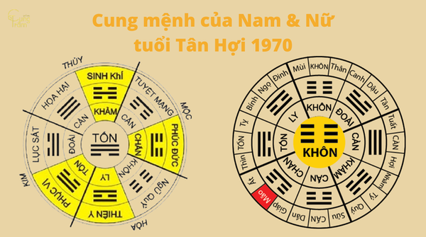 Cung mệnh (xét theo Bát Trạch - Nam/Nữ khác nhau)