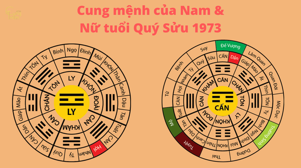 Cung mệnh (Xét theo Bát Trạch - Nam/Nữ khác nhau) của tuổi Quý Sửu 1973