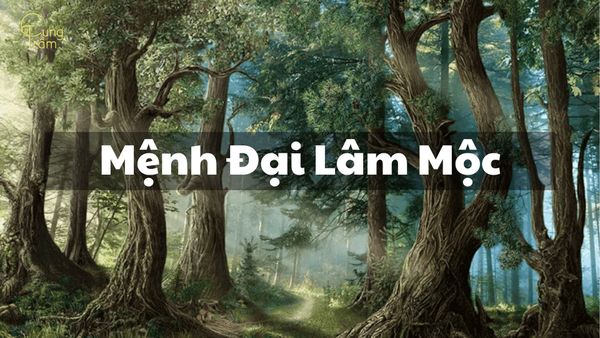 sinh-năm-1988-mệnh-gi