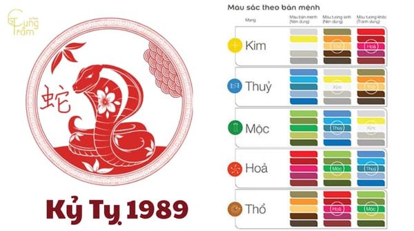 tuổi-kỷ-tỵ-hợp-màu-gì