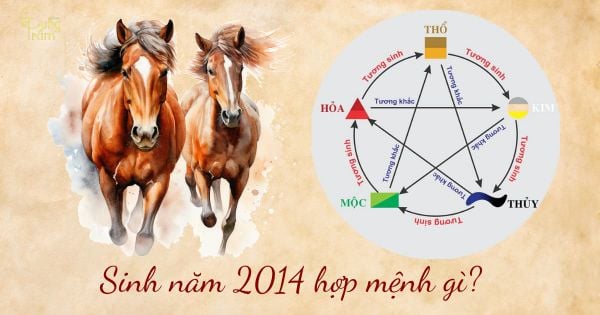 sinh năm 2014 hợp mệnh gì