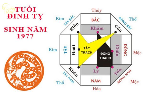 Cung mệnh theo Bát Trạch của người tuổi Đinh Tỵ (1977)